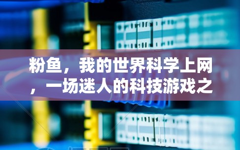 粉鱼,我的世界科学上网,一场迷人的科技游戏之旅 粉鱼,我的世界科学上网,一场迷人的科技游戏之旅