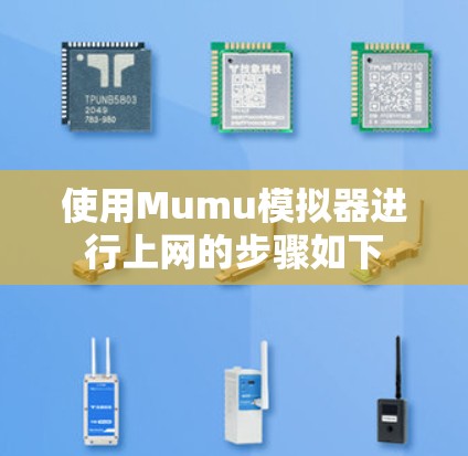 使用Mumu模拟器进行上网的步骤如下