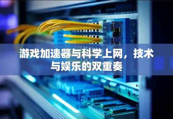 游戏加速器与科学上网，技术与娱乐的双重奏