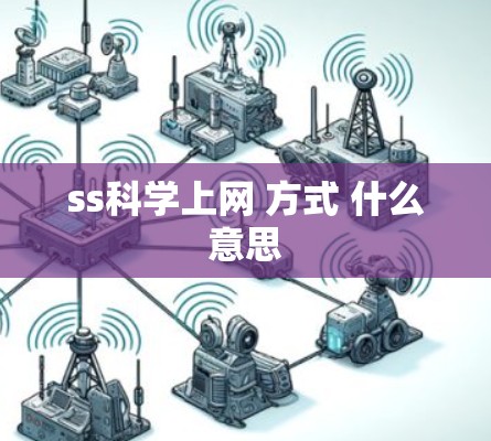ss科学上网 方式 什么意思
