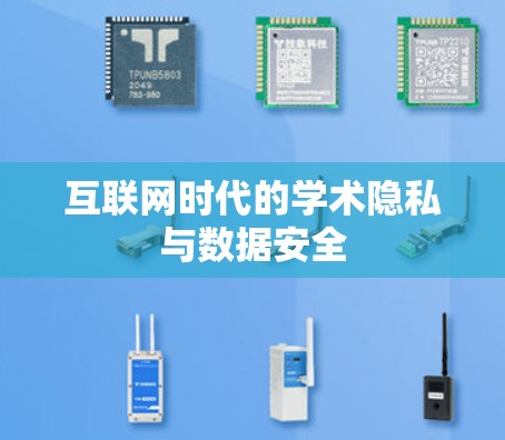 互联网时代的学术隐私与数据安全