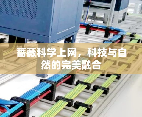 蔷薇科学上网,科技与自然的完美融合 蔷薇科学上网,科技与自然的完美融合