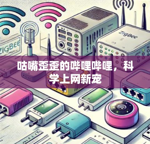 咕嘴歪歪的哔哩哔哩，科学上网新宠