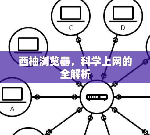 西柚浏览器，科学上网的全解析