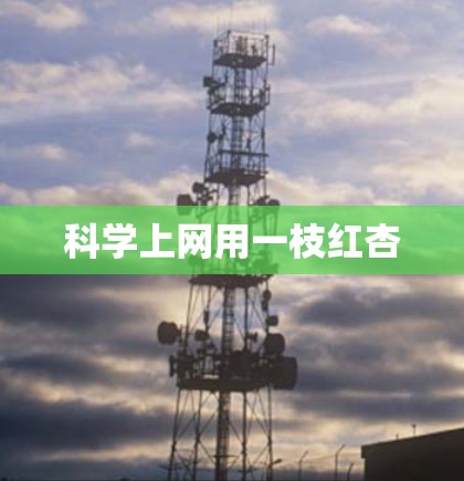 科学上网用一枝红杏