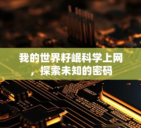 我的世界籽岷科学上网,探索未知的密码 我的世界籽岷科学上网,探索未知的密码