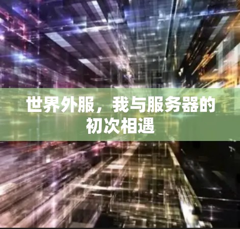 世界外服,我与服务器的初次相遇 世界外服,我与服务器的初次相遇