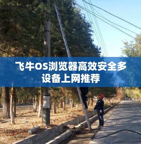 飞牛OS浏览器高效安全多设备上网推荐