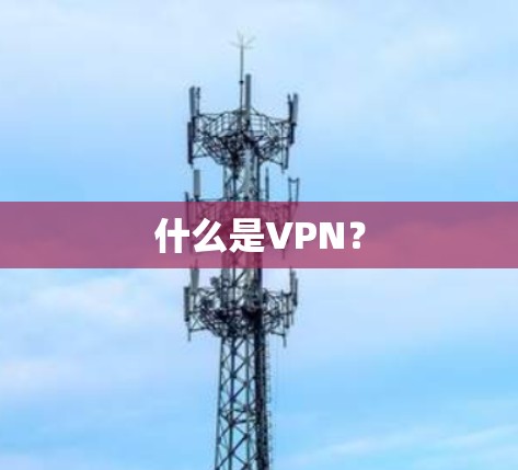 什么是VPN? 什么是VPN?