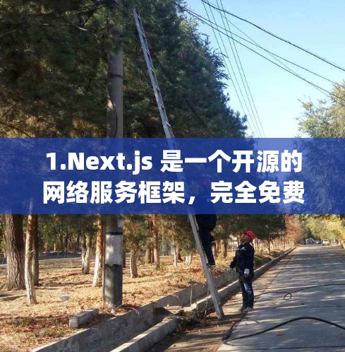 1.Next.js 是一个开源的网络服务框架，完全免费，支持构建各种网络服务