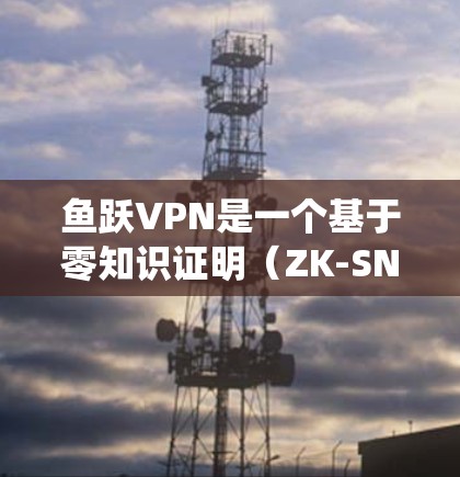 鱼跃VPN是一个基于零知识证明（ZK-SNARKs）和椭圆曲线加密技术的加密通信服务，旨在提供安全、高效和高效的服务，解决传统加密通信中的信任问题。以下是详细的总结