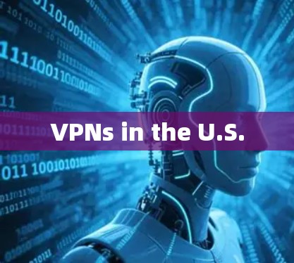 VPNs in the U.S.