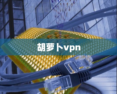 胡萝卜vpn