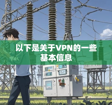 以下是关于VPN的一些基本信息 以下是关于VPN的一些基本信息
