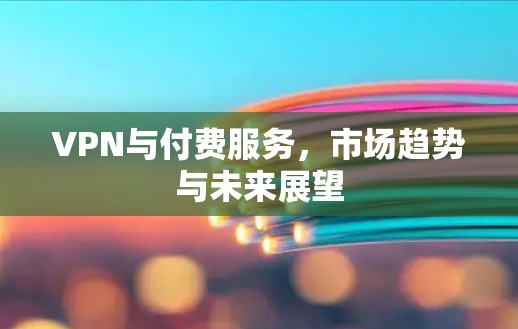 VPN与付费服务，市场趋势与未来展望