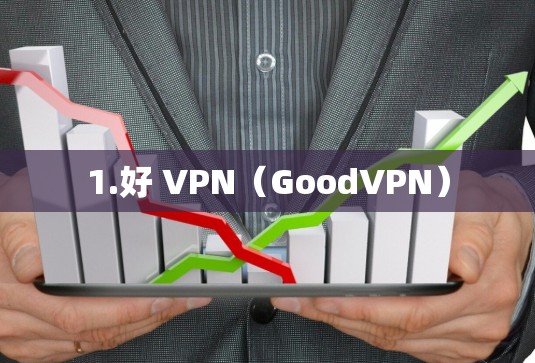 1.好 VPN（GoodVPN）