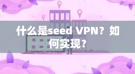 什么是seed VPN？如何实现？