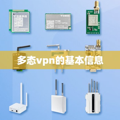 多态vpn的基本信息 多态vpn的基本信息