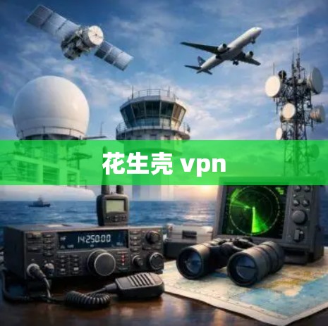 花生壳 vpn 花生壳 vpn