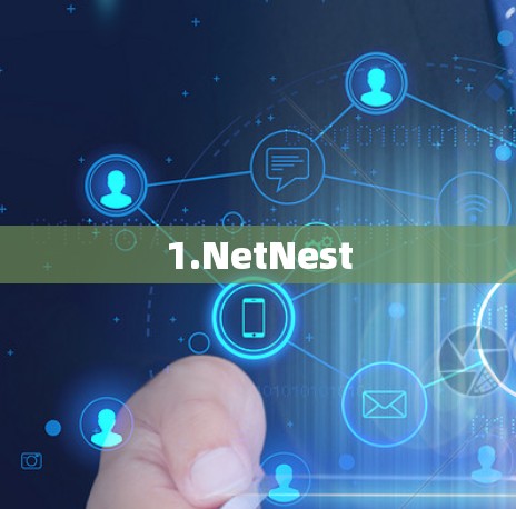 1.NetNest