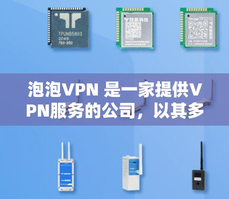 泡泡VPN 是一家提供VPN服务的公司，以其多样化的功能和强大的技术优势在中国市场中占据了一席之地。以下是对泡泡VPN的详细介绍