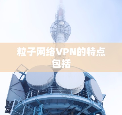 粒子网络VPN的特点包括