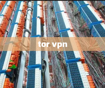 tor vpn tor vpn