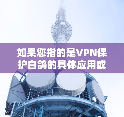 如果您指的是VPN保护白鸽的具体应用或技术，我可以提供相关的信息