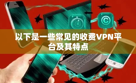 以下是一些常见的收费VPN平台及其特点 以下是一些常见的收费VPN平台及其特点