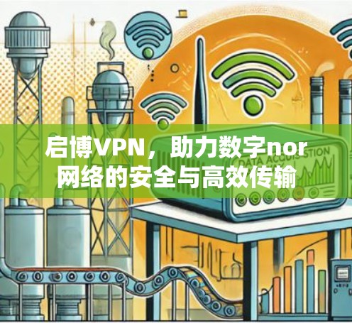 启博VPN，助力数字nor网络的安全与高效传输