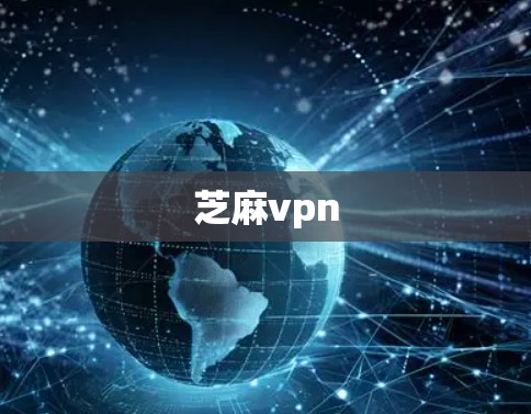 芝麻vpn