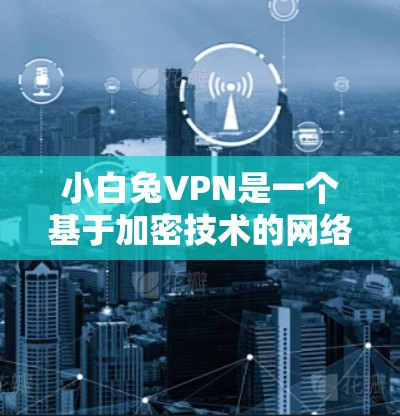 小白兔VPN是一个基于加密技术的网络服务，提供多种VPN类型，如流媒体、视频、文件下载等，旨在保护用户的隐私和数据。以下是对小白兔VPN的总结和建议