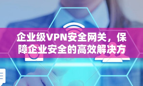 企业级VPN安全网关,保障企业安全的高效解决方案 企业级VPN安全网关,保障企业安全的高效解决方案