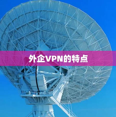 外企VPN的特点