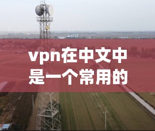 vpn在中文中是一个常用的词汇，通常用于以下几个不同的领域和情境中
