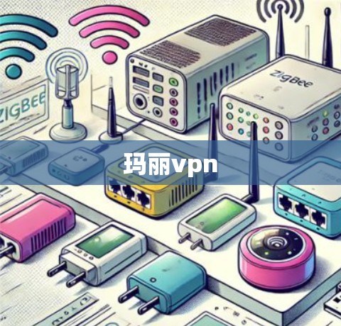 玛丽vpn 玛丽vpn