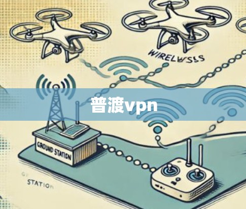普渡vpn