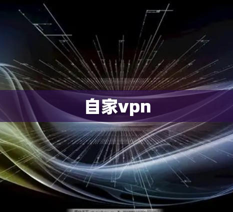自家vpn