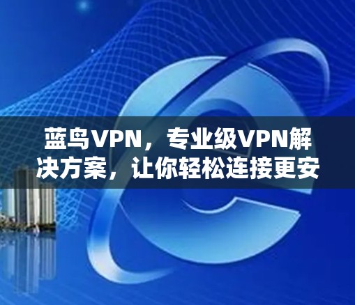蓝鸟VPN，专业级VPN解决方案，让你轻松连接更安全的网络