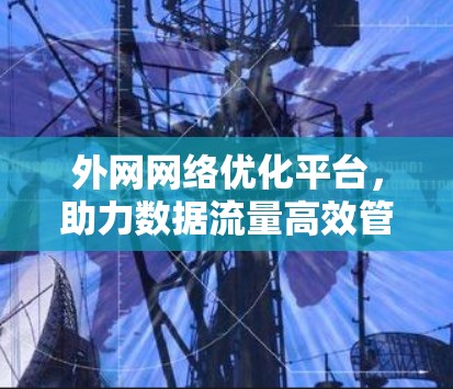 外网网络优化平台，助力数据流量高效管理