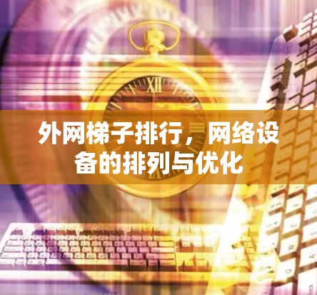 外网梯子排行，网络设备的排列与优化