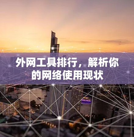 外网工具排行，解析你的网络使用现状