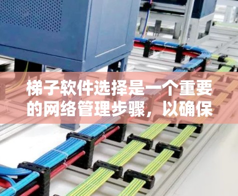 梯子软件选择是一个重要的网络管理步骤，以确保网络稳定、可扩展和高效。以下是对梯子软件选择的详细分析和推荐