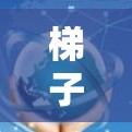 梯子客户端推荐排行是一个动态更新的列表，具体推荐内容会根据用户的使用需求、梯子的性能、价格等因素而变化。以下是一些常见的梯子推荐排序，供参考