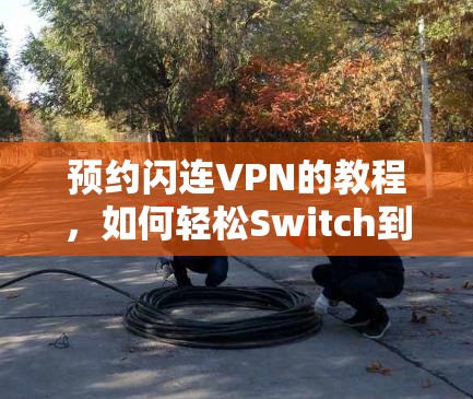 预约闪连VPN的教程,如何轻松Switch到手机版 预约闪连VPN的教程,如何轻松Switch到手机版