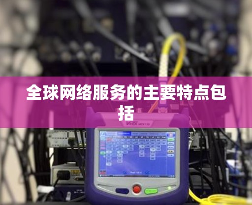 全球网络服务的主要特点包括 全球网络服务的主要特点包括
