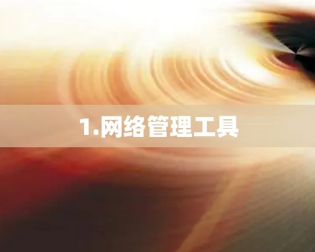 1.网络管理工具