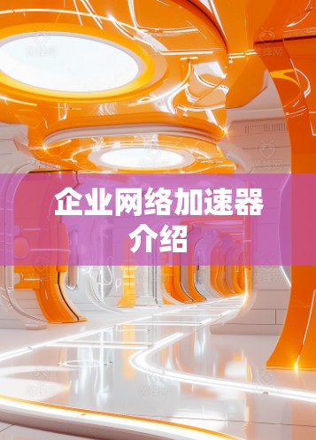 企业网络加速器介绍