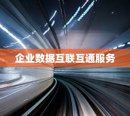 企业数据互联互通服务