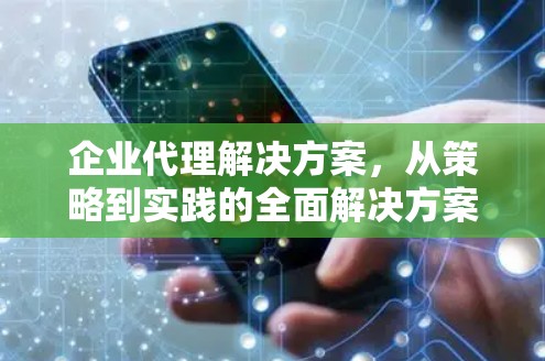 企业代理解决方案,从策略到实践的全面解决方案 企业代理解决方案,从策略到实践的全面解决方案